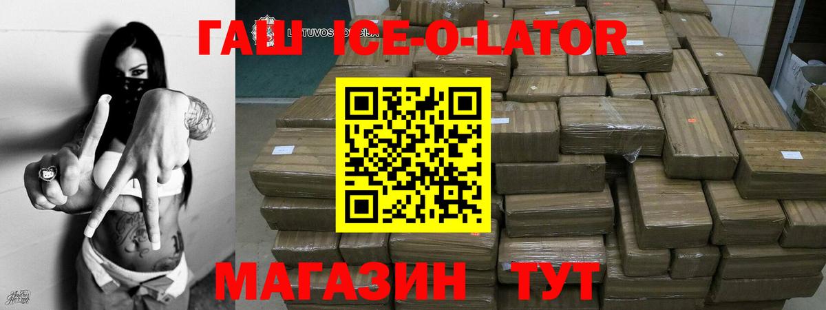 ГАШ Изолятор Камень-на-Оби